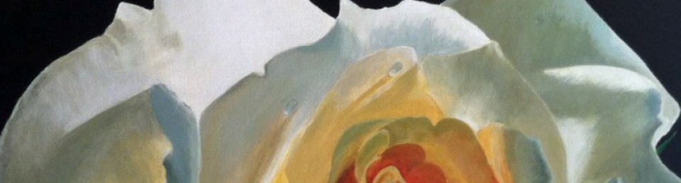 Susan J.  Bonebakker